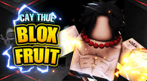 Dịch Vụ Cày Thuê BLOX FRUIT